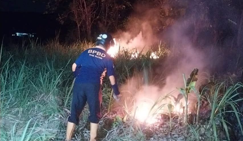 Bencana Kebakaran Hutan Di Daerah Kudus