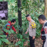 Polisi Lakukan Penyelidikan Temuan Bayi Di Kebon Kosong