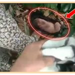 Warga Cipanggulaan Digegerkan Oleh Temuan Bayi Di Senin Pagi