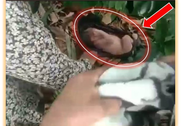 Warga Cipanggulaan Digegerkan Oleh Temuan Bayi Di Senin Pagi