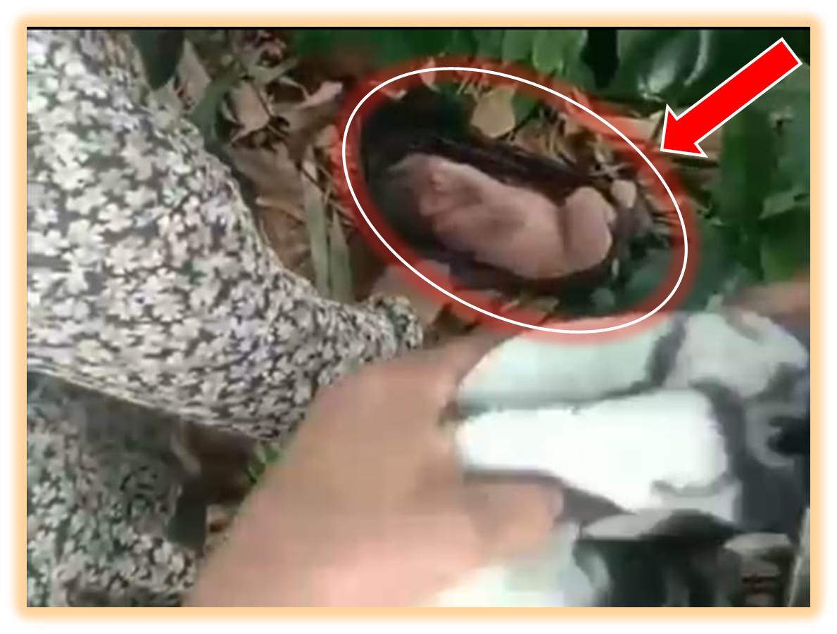 Warga Cipanggulaan Digegerkan Oleh Temuan Bayi Di Senin Pagi